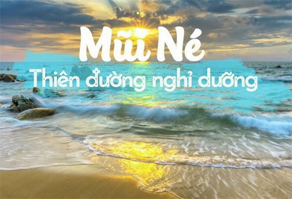 Cần bán hai thửa đất liền kế, mặt tiền đường nhựa Nguyễn Đình Chiểu